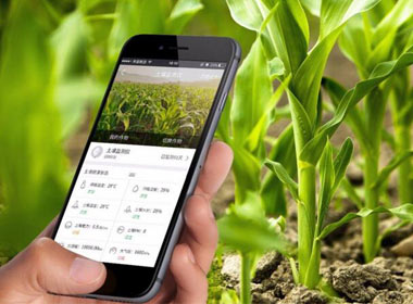 讓農(nóng)業(yè)搭上“互聯(lián)網(wǎng)”快車